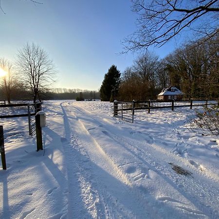 Vakantiewoning Heidebos In Het Nationaal Park Hoge Kempen Opglabbeek Luaran gambar