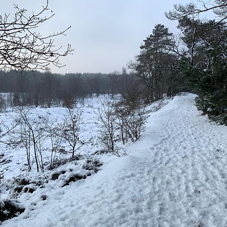 Vakantiewoning Heidebos In Het Nationaal Park Hoge Kempen Opglabbeek Luaran gambar