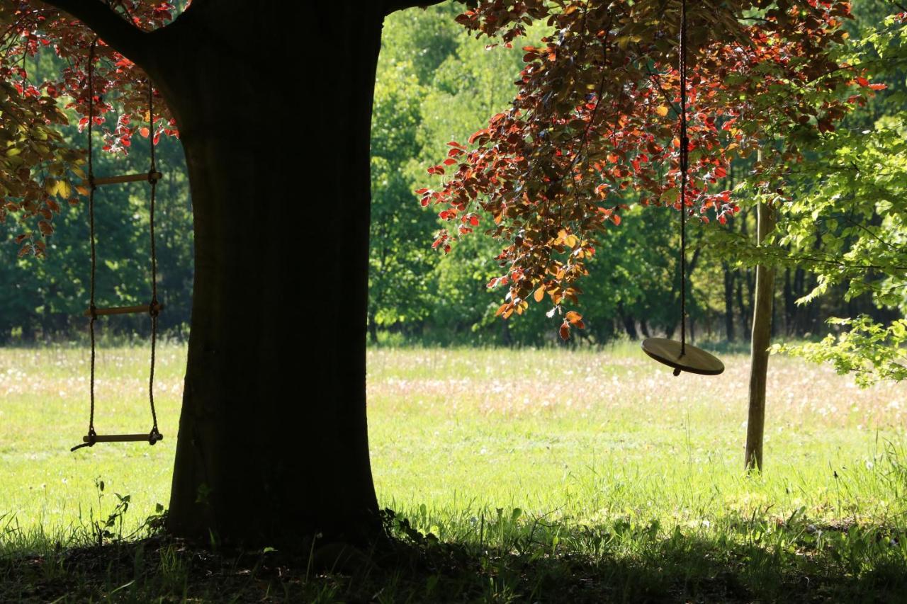 Vakantiewoning Heidebos In Het Nationaal Park Hoge Kempen Opglabbeek Luaran gambar