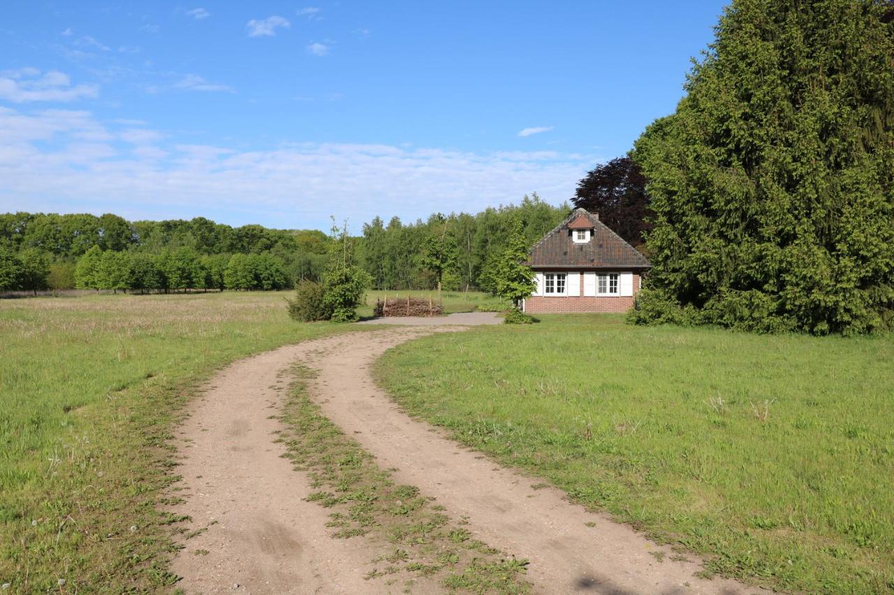 Vakantiewoning Heidebos In Het Nationaal Park Hoge Kempen Opglabbeek Luaran gambar