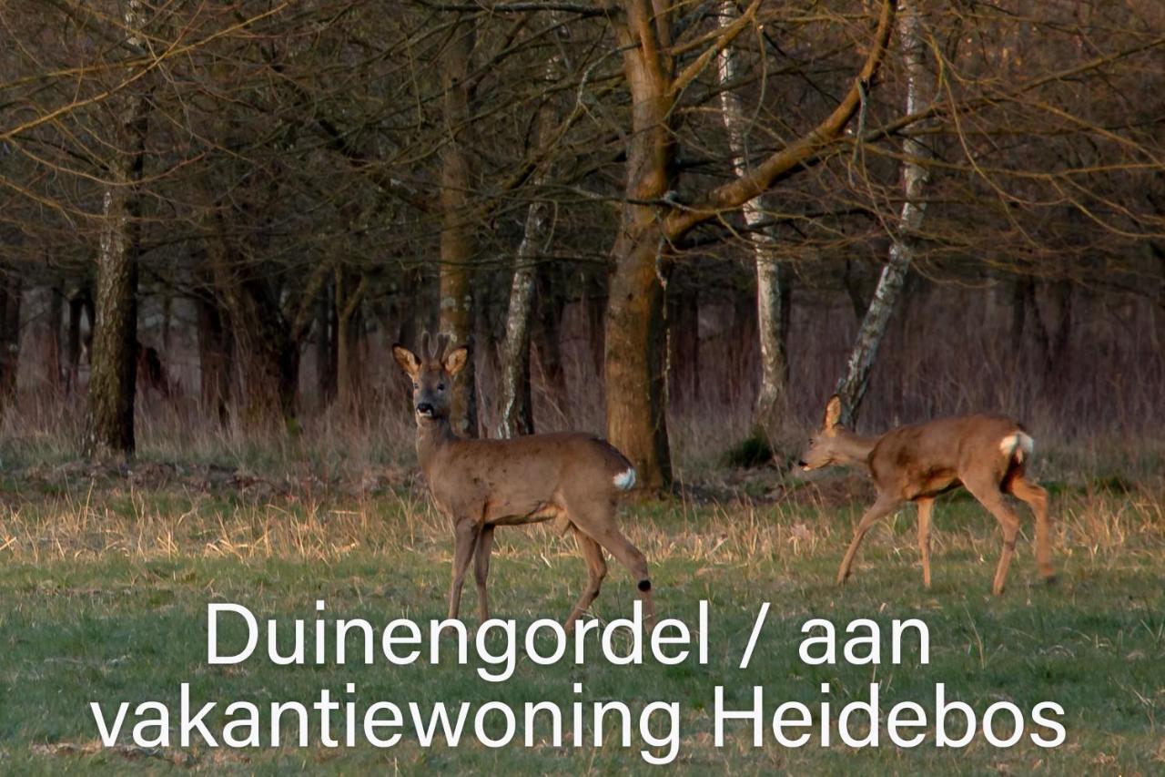 Vakantiewoning Heidebos In Het Nationaal Park Hoge Kempen Opglabbeek Luaran gambar