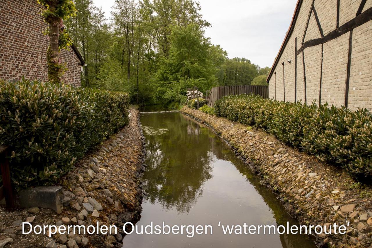 Vakantiewoning Heidebos In Het Nationaal Park Hoge Kempen Opglabbeek Luaran gambar