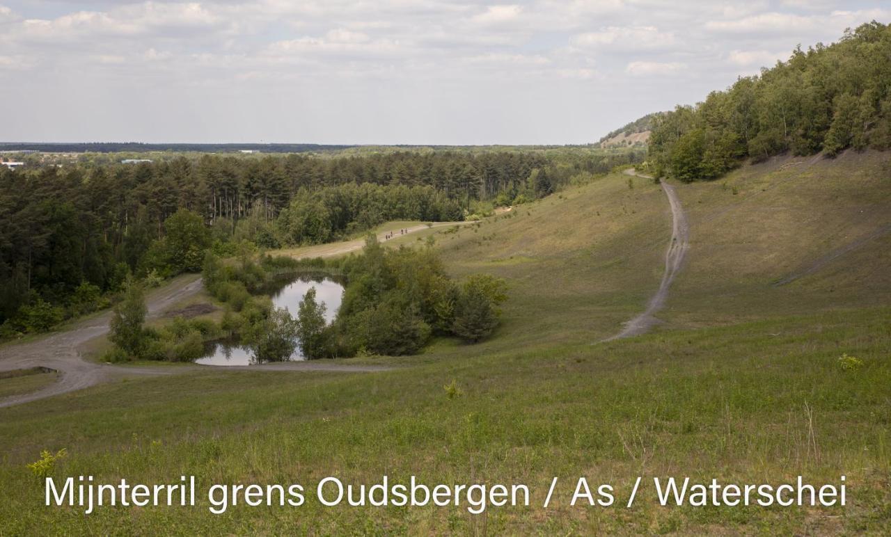 Vakantiewoning Heidebos In Het Nationaal Park Hoge Kempen Opglabbeek Luaran gambar