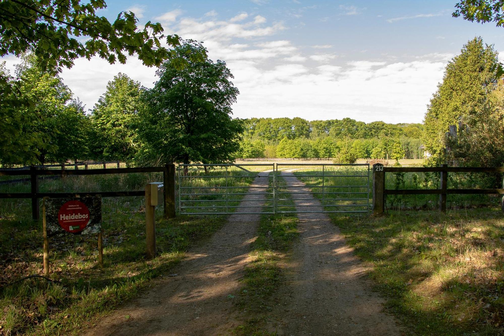 Vakantiewoning Heidebos In Het Nationaal Park Hoge Kempen Opglabbeek Luaran gambar