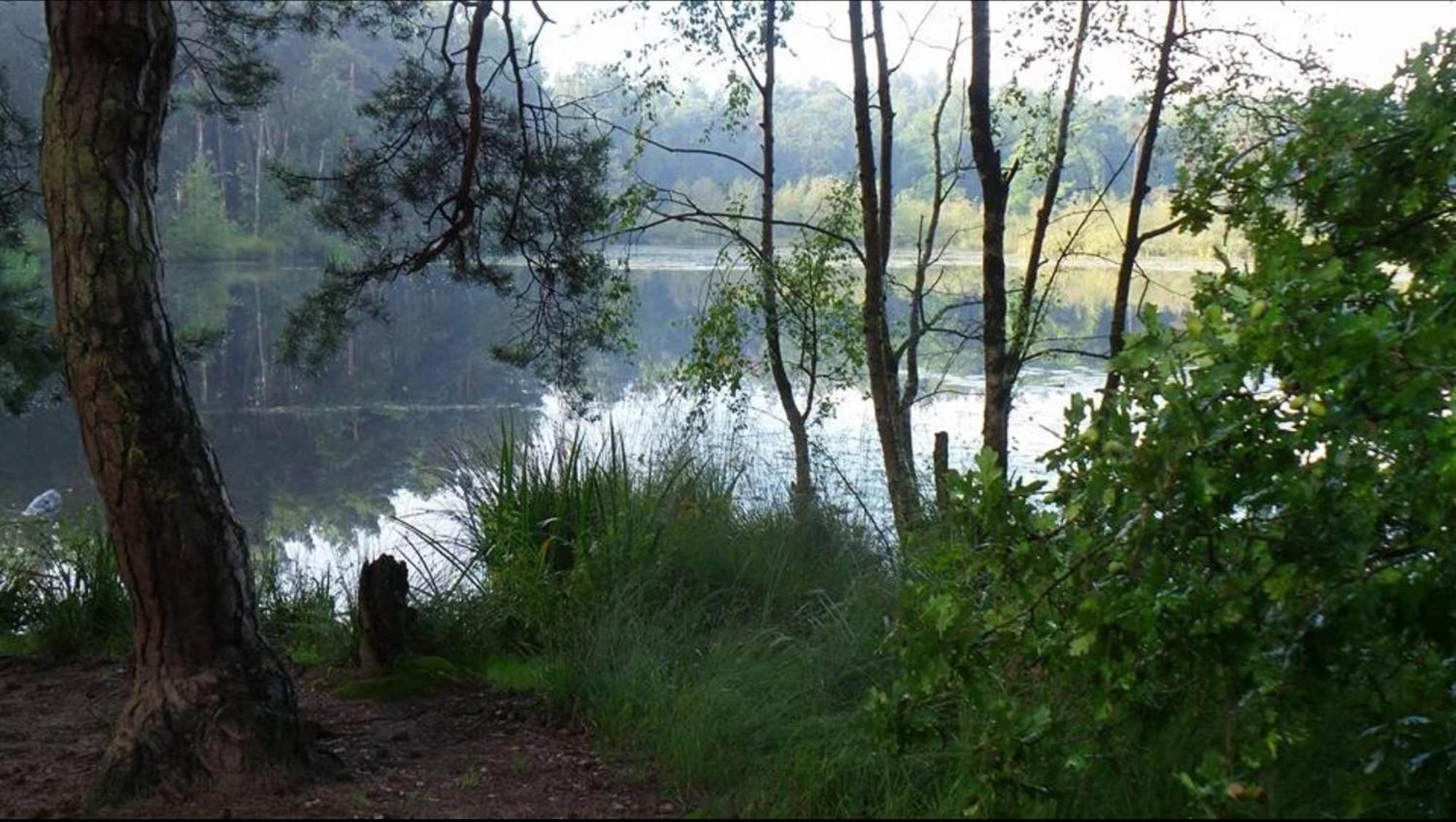 Vakantiewoning Heidebos In Het Nationaal Park Hoge Kempen Opglabbeek Luaran gambar